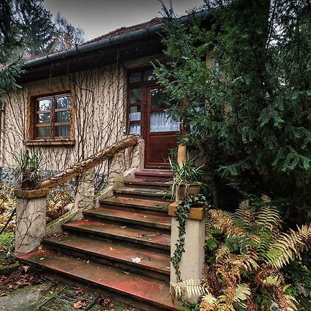 Boróka Apartmanházak - Öregház Velem Camera foto