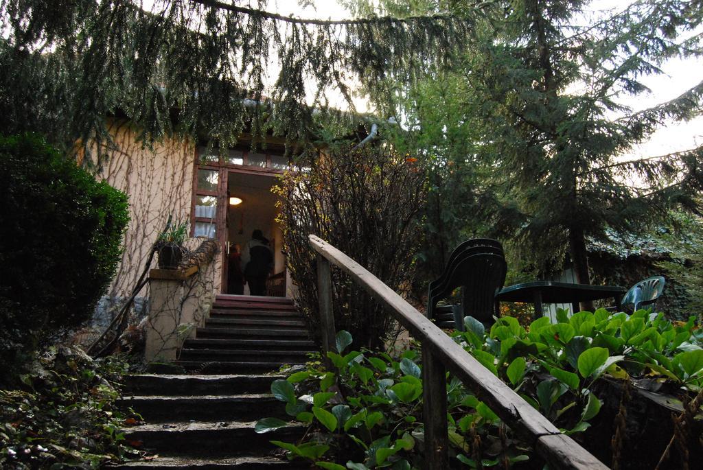 Boróka Apartmanházak - Öregház Velem Camera foto