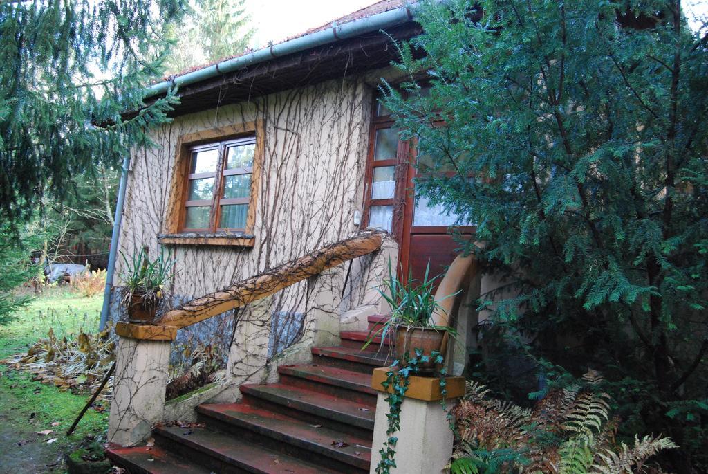 Boróka Apartmanházak - Öregház Velem Camera foto