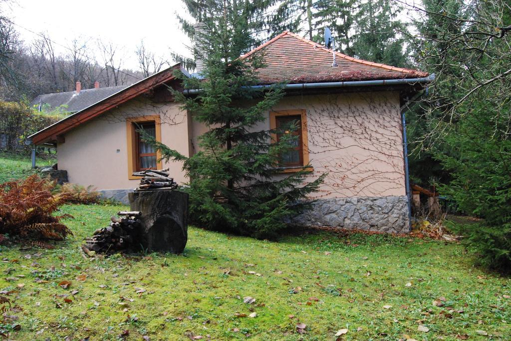 Boróka Apartmanházak - Öregház Velem Camera foto