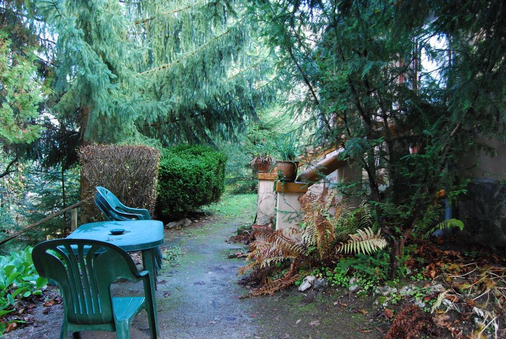 Boróka Apartmanházak - Öregház Velem Camera foto