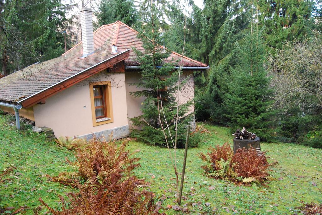 Boróka Apartmanházak - Öregház Velem Camera foto