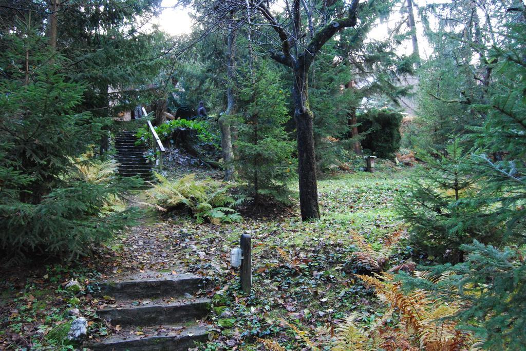Boróka Apartmanházak - Öregház Velem Camera foto